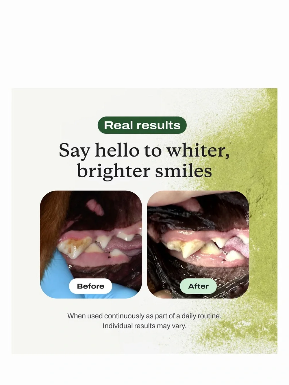 ProBright Dental Powder for Small Dogs - Navy